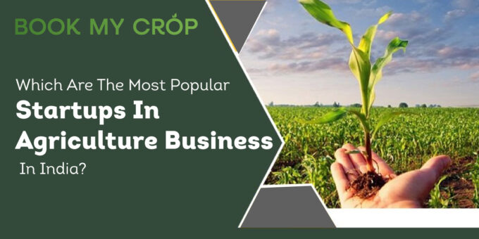 Book-My-Crop-Which-Are-The-Most-Popular-Startups-In-Agriculture-Business-In-India