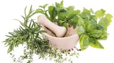 herbs-benefits