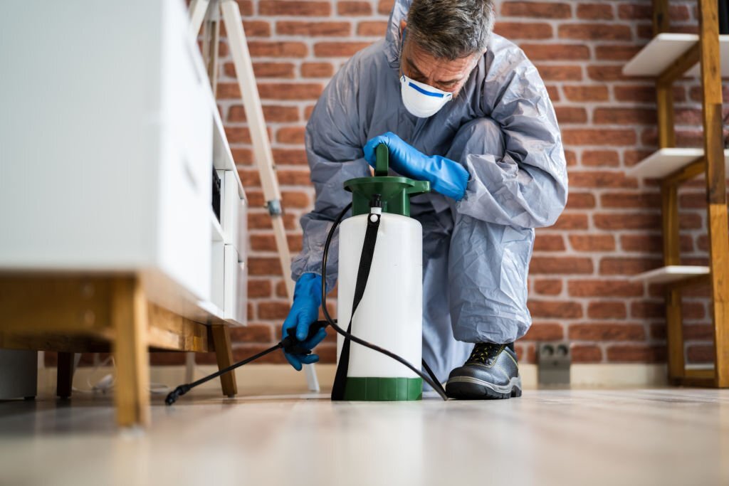 10 Ways To Keep Your Commercial Property Pest-Free This Season