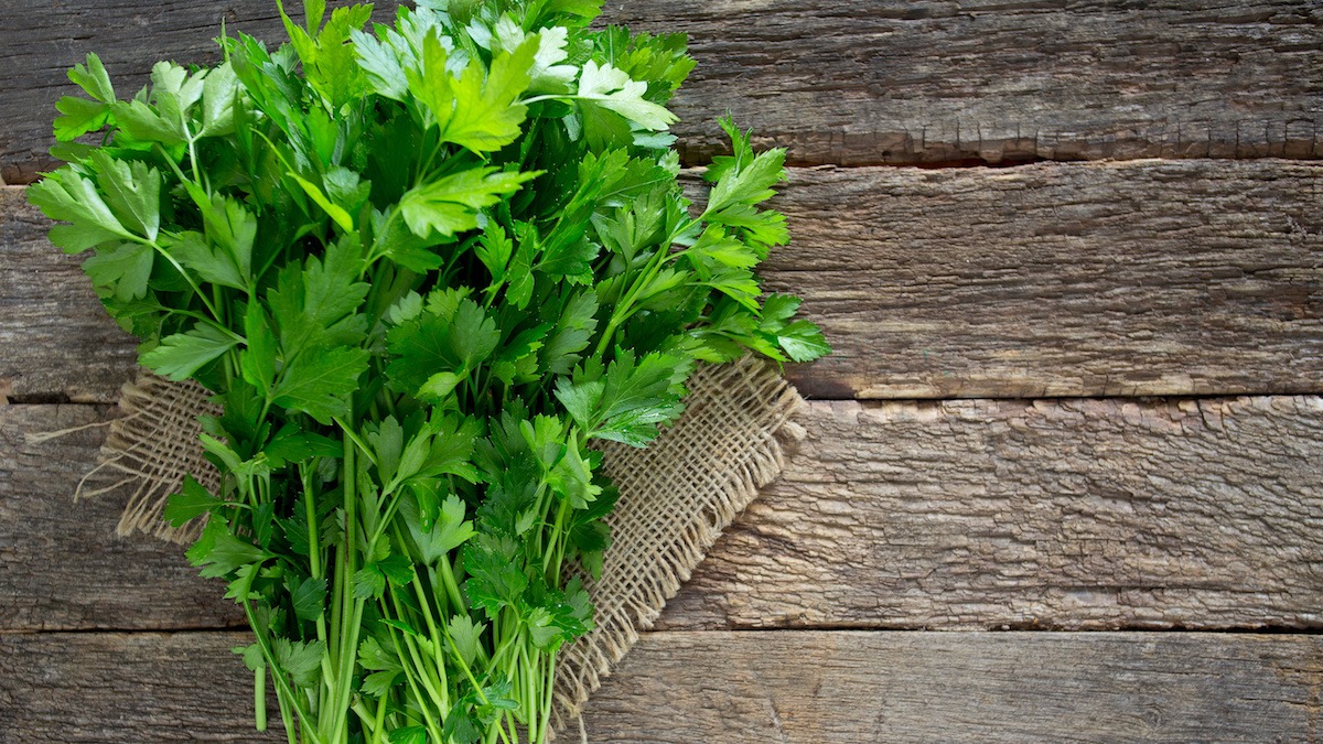 Parsley